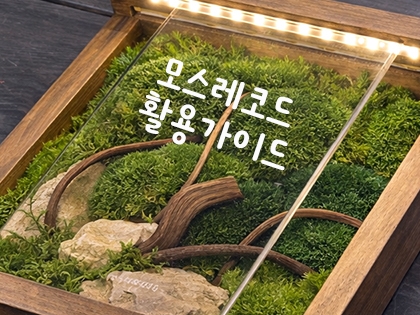 [모스레코드] 활용가이드